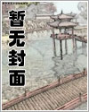舞女金挂优化